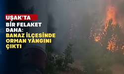 Uşak’ın ormanlarında yine alevler yükseldi