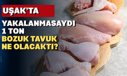 Uşak'ta 1 ton bozulmuş tavuk ele geçirildi
