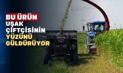 Uşak çiftçisi için yeni gelir kapısı: “Sorgum Sudan Otu Melezi”