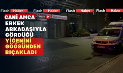 Yeğenini erkek arkadaşıyla yakalayan amca cinnet geçirdi