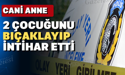 Cinnet getiren anne 2 yaşındaki bebeğini hayattan kopardı