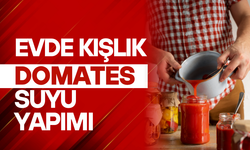 Domates Suyu Yapmanın Püf Noktaları