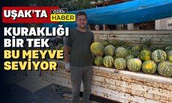 Uşak’ta kuraklığa kafa tutan meyve