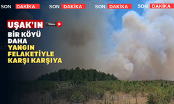 Uşak’ta yangınlar bitmek bilmiyor