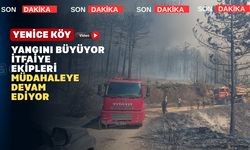 Uşak’ta Yeniceköy yangını alev topu halinde ilerliyor