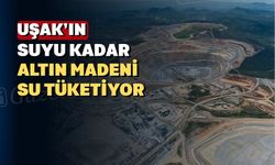 Uşak’ın suyunu altın madeni içiyor