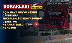 Uşaklı bu hanzolardan bıktı ama ilgilenen yok
