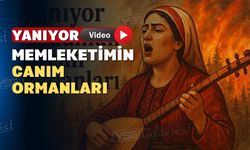 Uşaklı kadın şairin orman yangınlarıyla ilgili şarkısı içleri yaktı