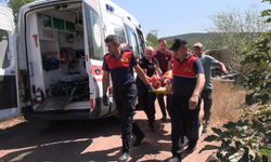 Kontrolden çıkan otomobil şarampole devrildi: 3 yaralı