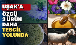 Uşak’ın 3 ürünü daha coğrafi işaret alma yolunda