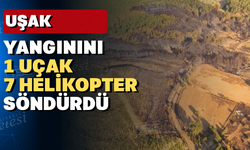 Uşak'ta yaklaşık 20 saat süren orman yangını kontrol altında