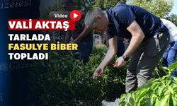 Uşak’ta tarlada bir vali gören köylüler çok şaşırdı