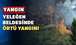 Uşak’ın Eşme ilçesinde 4 hektar alan yandı
