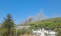 Bodrum’da orman yangını başladı
