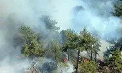 Köyceğiz'de yangın devam ediyor