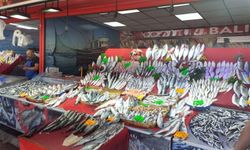 Hamsi fiyatı yarı yarıya düştü