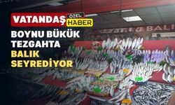 Yasak bitti balık fiyatları Uşak’ta ateş pahası