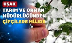Uşak’ta zirai don mağduru çiftçilere destekleme ödemesi yapılacak