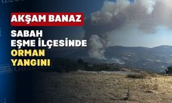 Bu kez Eşme ilçesinde yangın çıktı