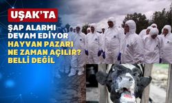 Uşak’ta şap hastalığıyla mücadele devam ediyor