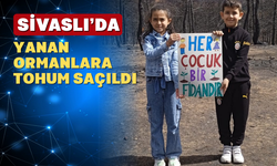Sivaslı'da yanan ormanlar yeniden yeşerecek