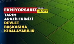 Uşak'ta kiraya verilecek arazi kaç dekar?