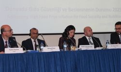 2030 yılında 512 milyon insan açlıkla mücadele edecek
