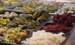 Doğal salgın savaşçısı: "Turşu"