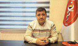 Evcil hayvanlara ‘internet’ tehlikesi