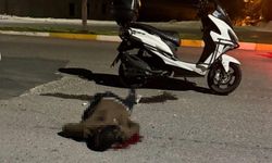 Sırtındaki bıçakla hastaneye giderken vefat etti