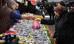 "Son 10 yıldır böyle güzel hamsi gelmedi"