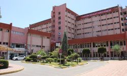 Sonbaharın gelmesiyle birlikte uyuz salgını başladı