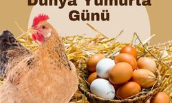 "Yumurta doğanın en eşsiz gıda kaynaklarından biridir"