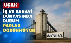 Uşak Ada Yem Ltd. Şti.’ne ek konkordato süresi verildi