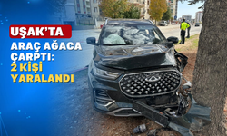 Uşak’ta kontrolden çıkan araç ağaca çarptı