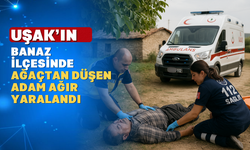 Uşak’ta ağaçtan düşen yaşlı adam ağır yaralandı
