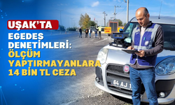 Uşaklılar Dikkat! Çevre Denetimleri Devam Ediyor