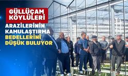 “Uşaklıların 1 metrekare toprağı 1 Kilo Domates Etmiyor”