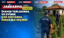 Uşak’ın Eşme İlçesinde bir imamın tarlasında esrar yakalandı