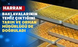 Uşak’ta baklavacı denetimleri krize neden oldu