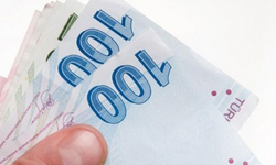 Papara’nın faaliyet izni Merkez Bankası tarafından iptal edildi