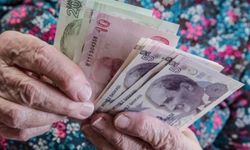 Dünyanın en pahalı baharatı 1 gramı 500 TL