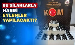 Uşak’ta 2 bavuldan silah çıktı