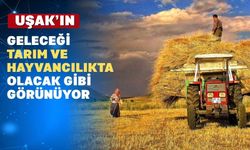 Uşaklı girişimcilere tarım ve hayvancılığın gelişimi anlatıldı