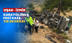 Kontrolden çıkan tır devrildi: sürücü yaralandı