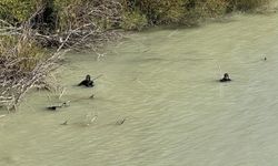11 gün önce kaybolan engelli şahsın cansız bedeni bulundu