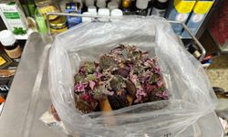 Aktar Sadıkoğlu'ndan geçmeyen öksürüğe 'bitkisel' karışım tarifi