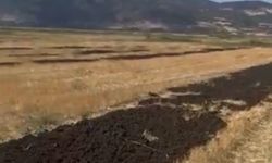 Araziye arıtma çamuru döken firmaya 48 milyon 612 bin lira para cezası