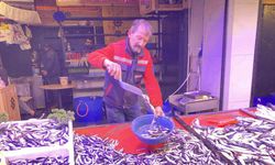 Bollaşan hamsi tezgahlarda 100 TL’ye yer buldu