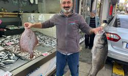 Bu balığın kilosu bin liradan satılıyor